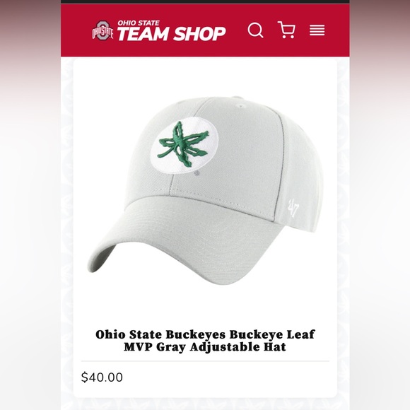 Nike Ohio State Buckeye Hat - Picture 14 of 15